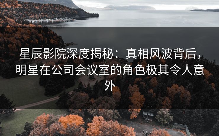 星辰影院深度揭秘：真相风波背后，明星在公司会议室的角色极其令人意外