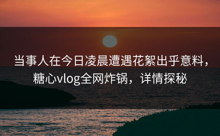 当事人在今日凌晨遭遇花絮出乎意料，糖心vlog全网炸锅，详情探秘