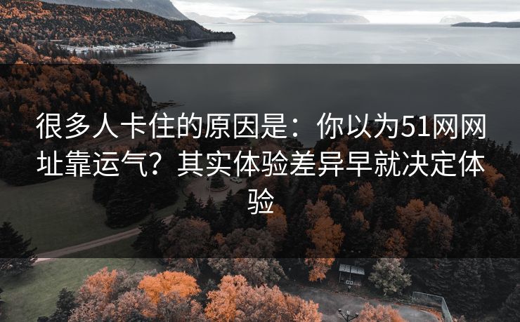 很多人卡住的原因是：你以为51网网址靠运气？其实体验差异早就决定体验